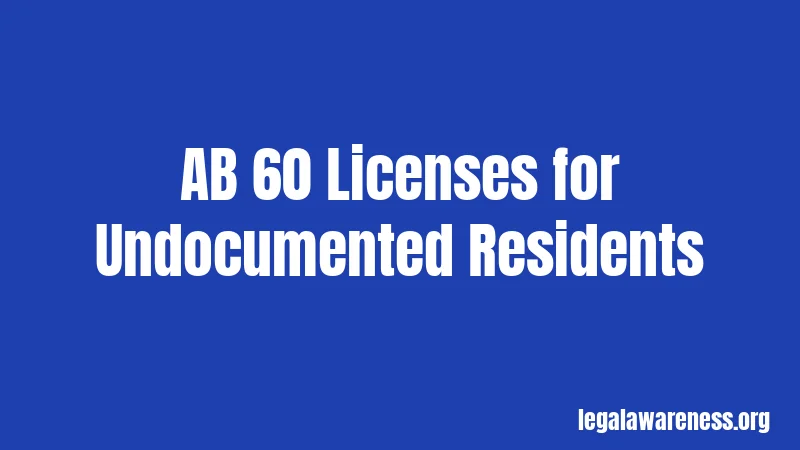 AB 60 Licenses for Undocumented Residents