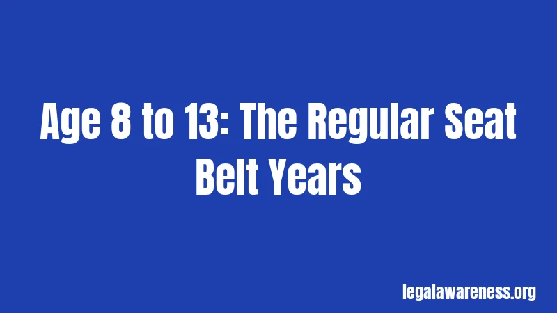 Age 8 to 13: The Regular Seat Belt Years