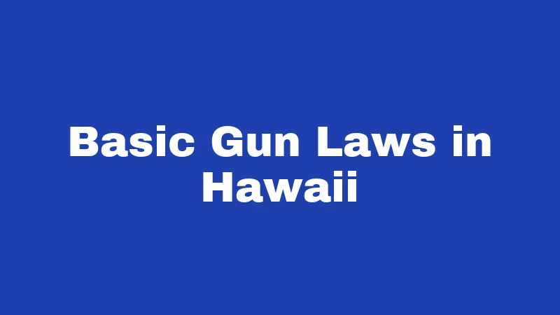Basic Gun Laws in Hawaii