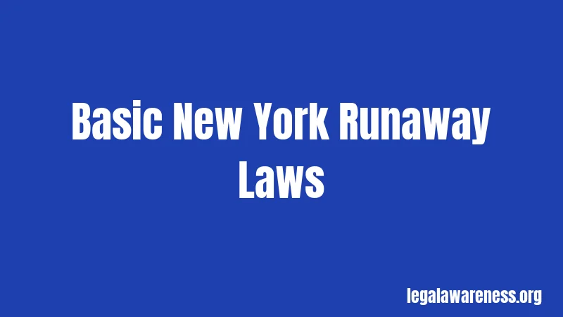 Basic New York Runaway Laws