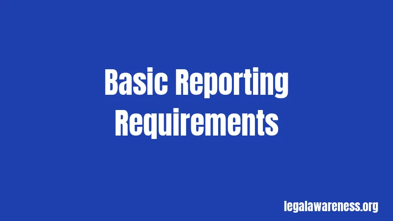 Basic Reporting Requirements