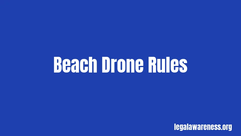 Beach Drone Rules