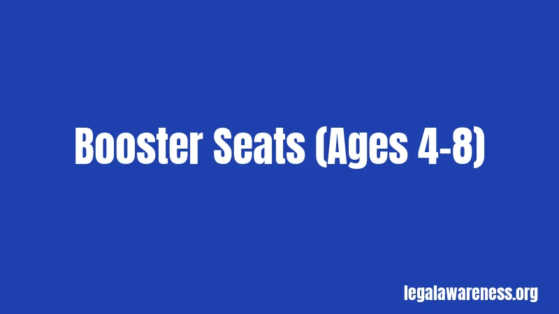 Booster Seats (Ages 4-8)