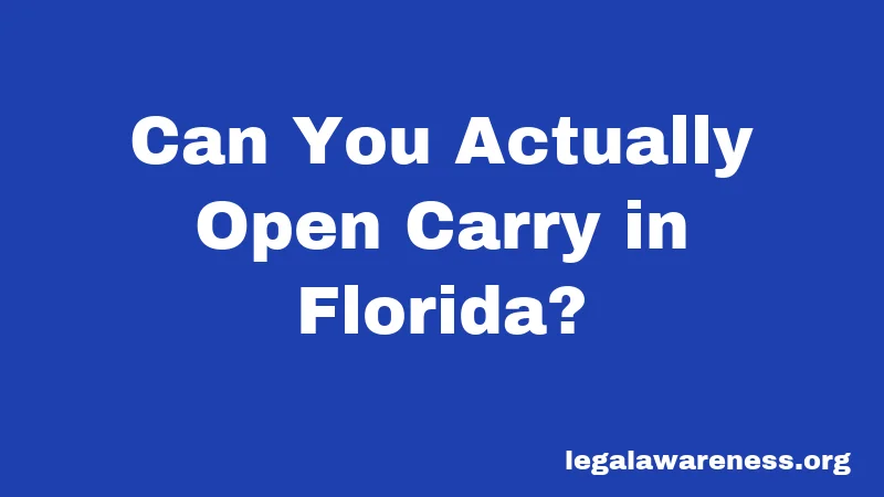 Can You Actually Open Carry in Florida?