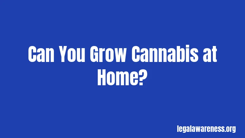Cannabis Laws in Illinois (2026): What's Legal and What's Not 2 Can You Grow Cannabis at Home?