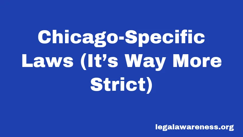 Illinois Food Truck Laws in 2026: Your Complete License & Permit Guide 2 Chicago-Specific Laws (It’s Way More Strict)