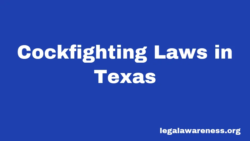 Cockfighting Laws in Texas