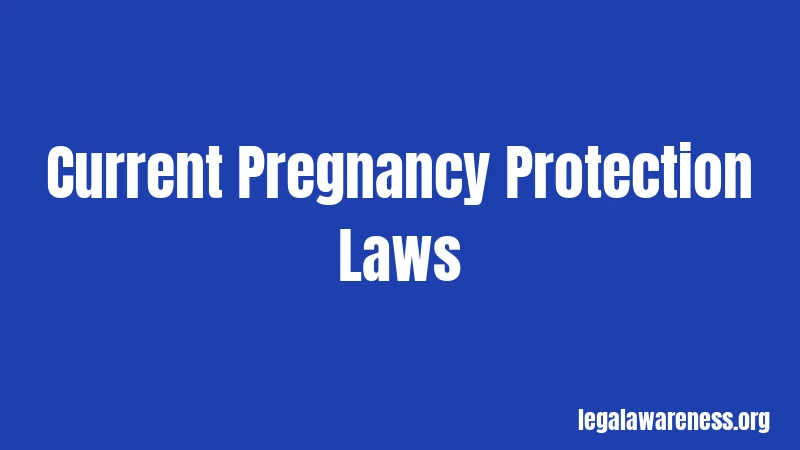 Current Pregnancy Protection Laws