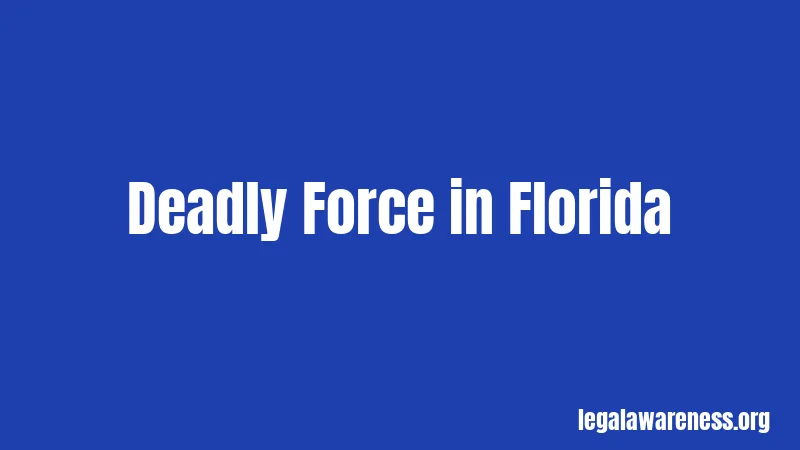 Deadly Force in Florida