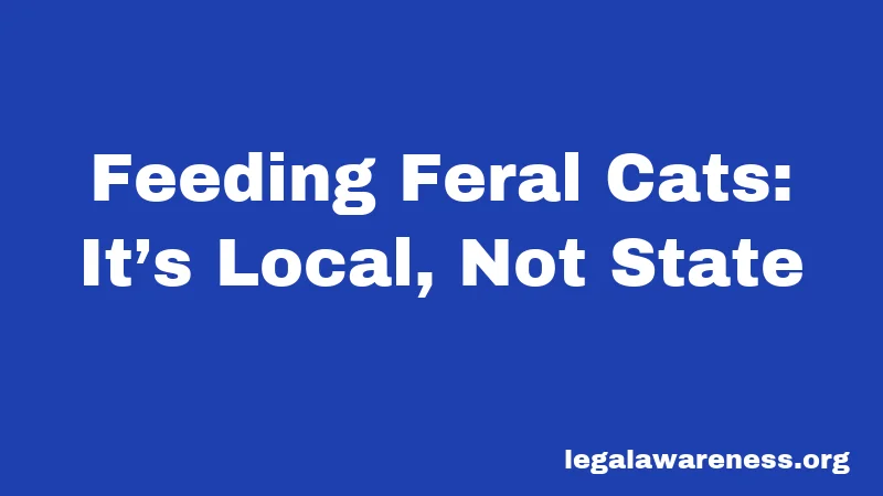 Feeding Feral Cats: It’s Local, Not State