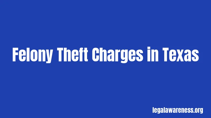 Felony Theft Charges in Texas