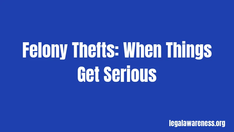 Felony Thefts: When Things Get Serious