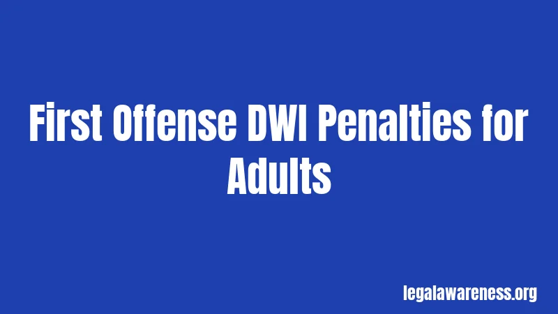 First Offense DWI Penalties for Adults