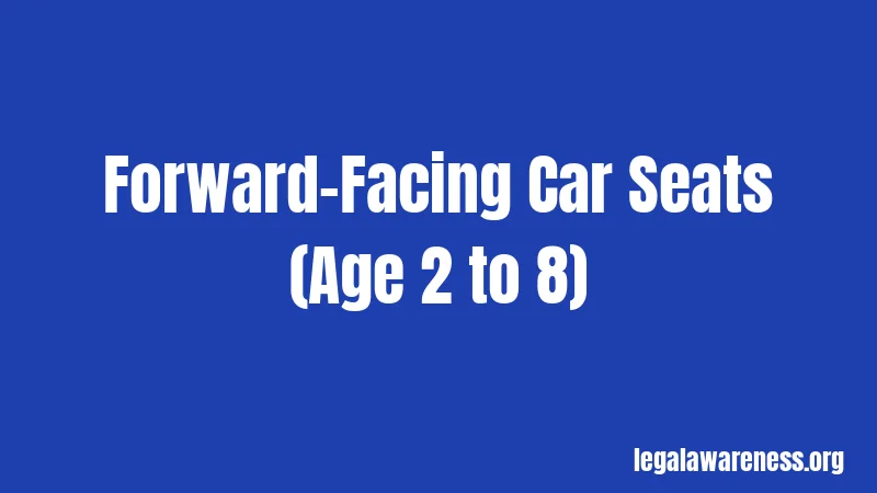 Forward-Facing Car Seats (Age 2 to 8)