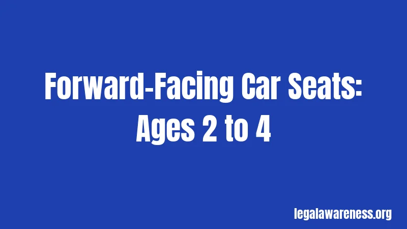 Forward-Facing Car Seats: Ages 2 to 4