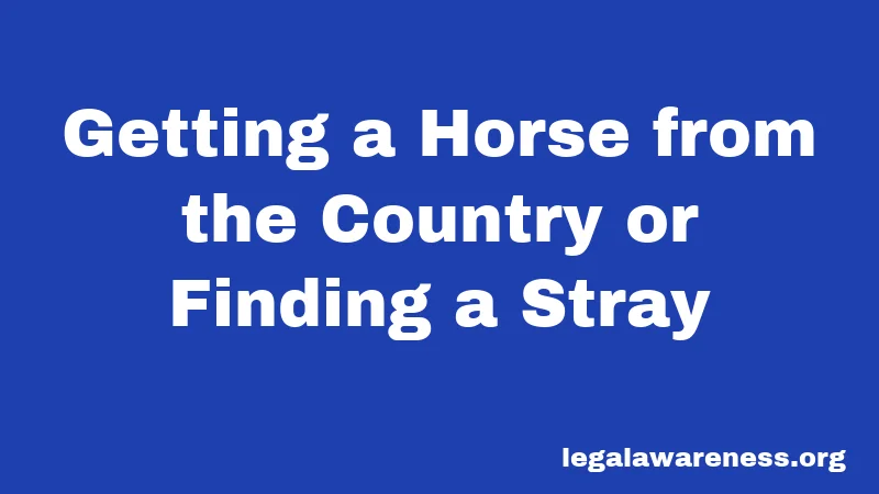 Getting a Horse from the Country or Finding a Stray