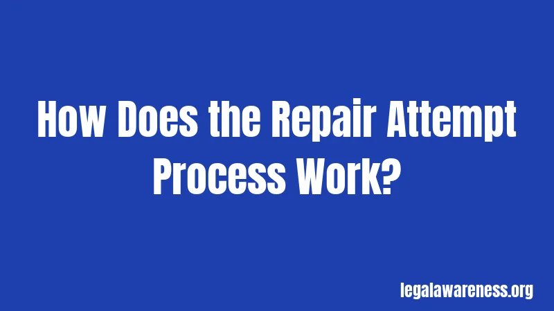 How Does the Repair Attempt Process Work?