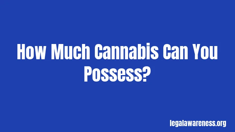 How Much Cannabis Can You Possess?