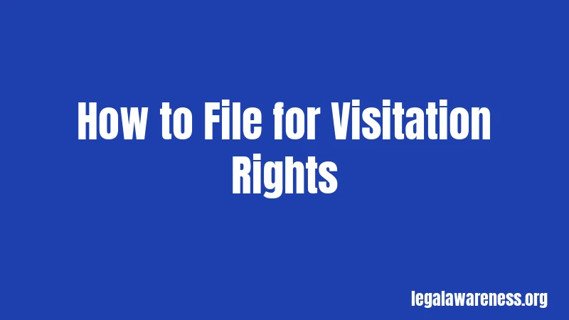 How to File for Visitation Rights