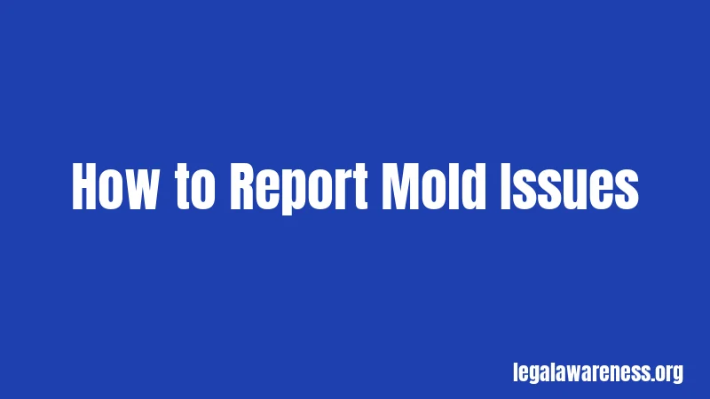How to Report Mold Issues