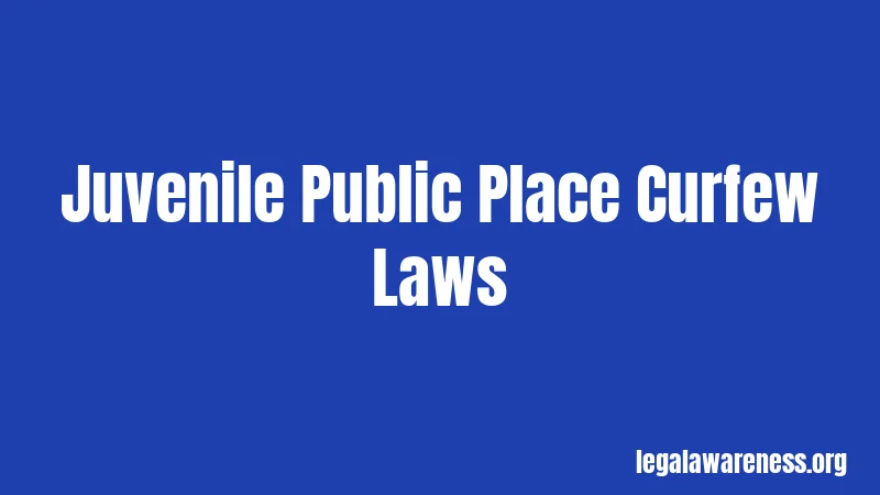 Juvenile Public Place Curfew Laws