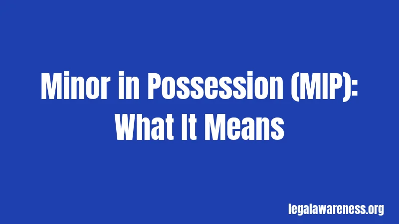 Minor in Possession (MIP): What It Means