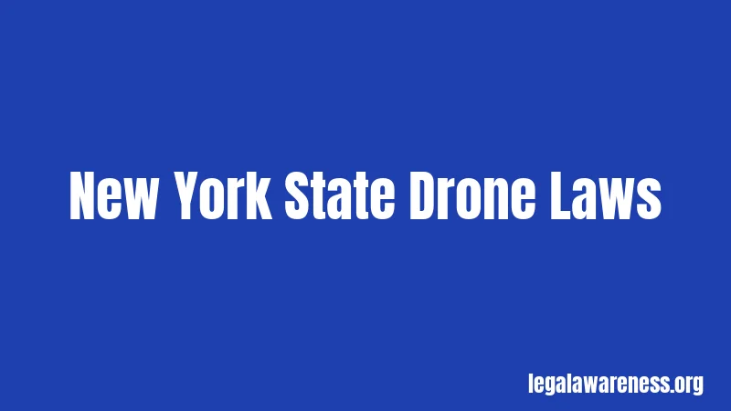 New York State Drone Laws