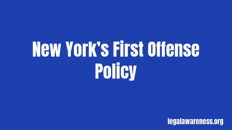 New York’s First Offense Policy