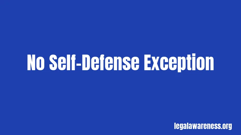 No Self-Defense Exception