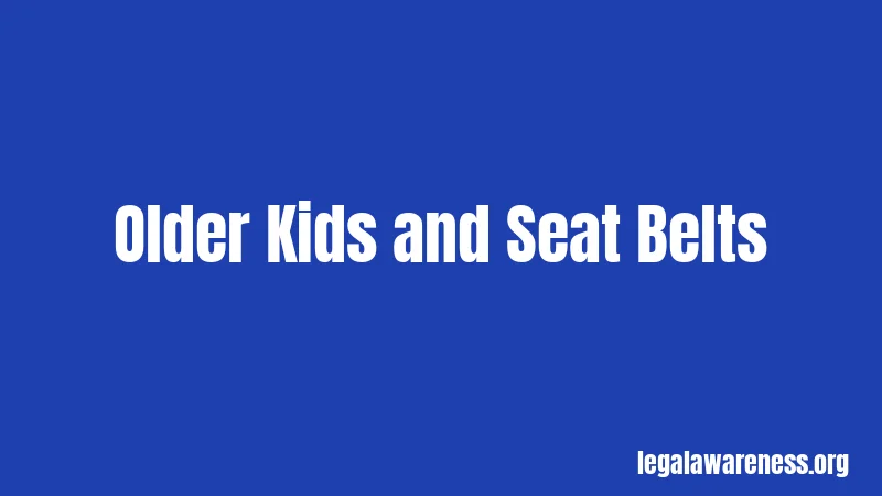 Older Kids and Seat Belts