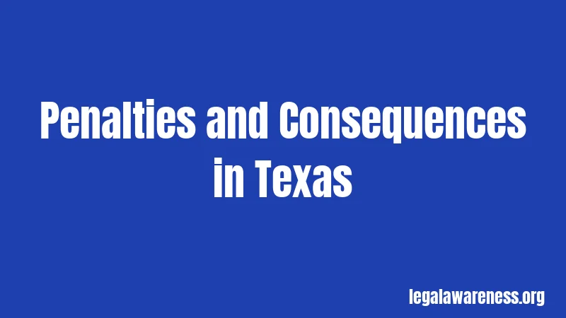 Penalties and Consequences in Texas