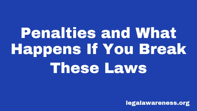Penalties and What Happens If You Break These Laws