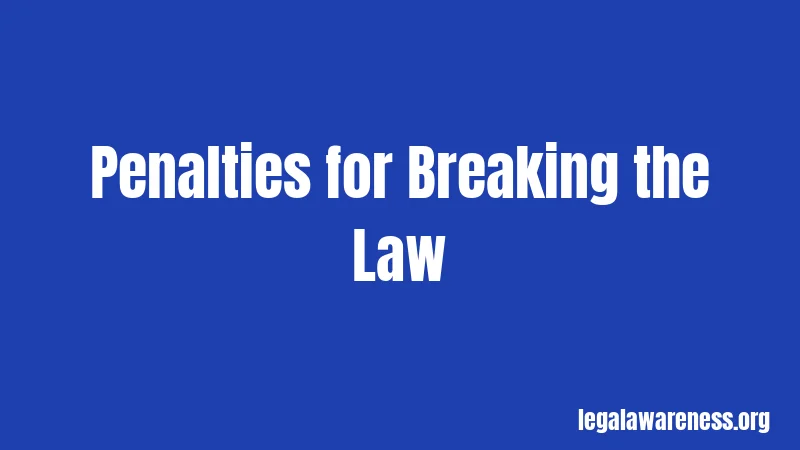Penalties for Breaking the Law