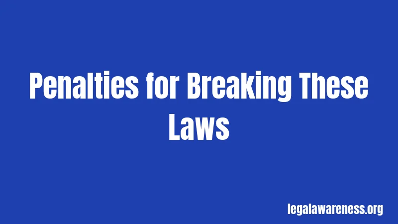 Penalties for Breaking These Laws