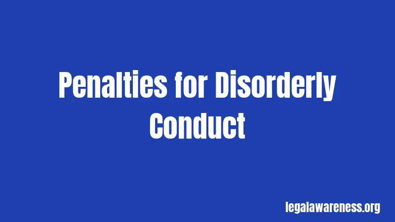 Penalties for Disorderly Conduct