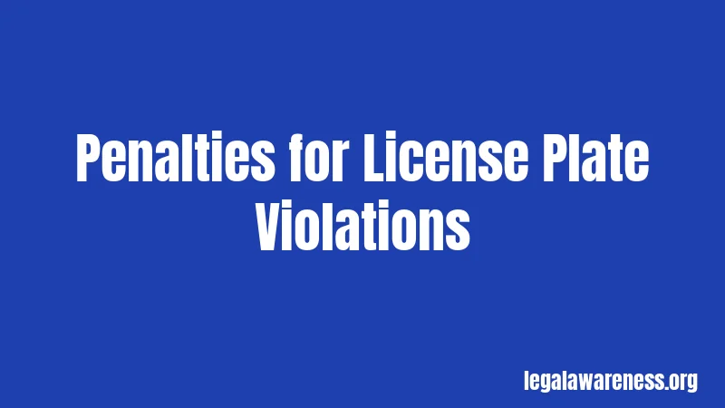 Penalties for License Plate Violations