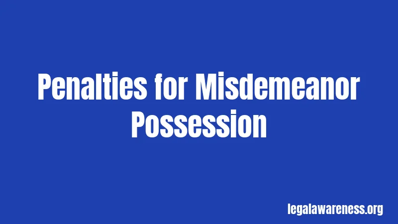 Penalties for Misdemeanor Possession