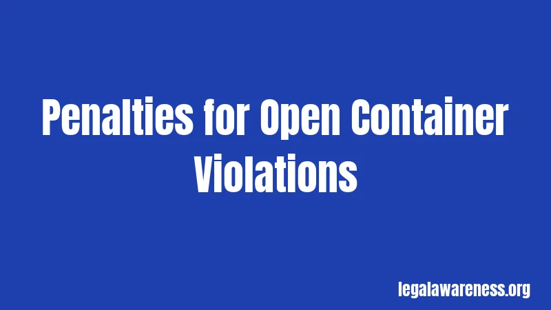 Penalties for Open Container Violations
