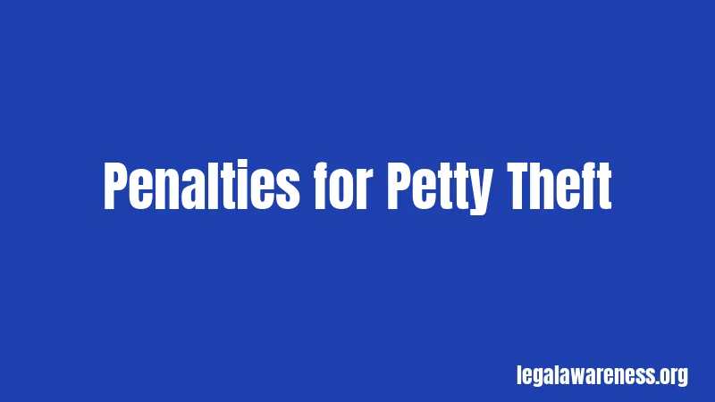 Penalties for Petty Theft