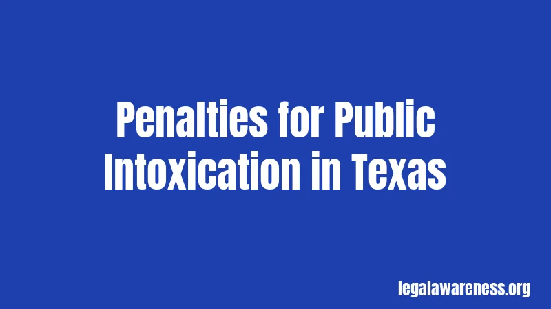 Penalties for Public Intoxication in Texas