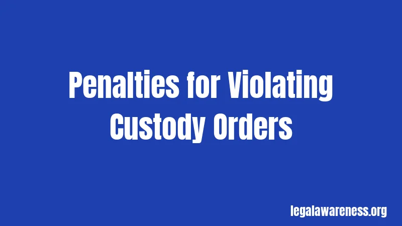 Penalties for Violating Custody Orders