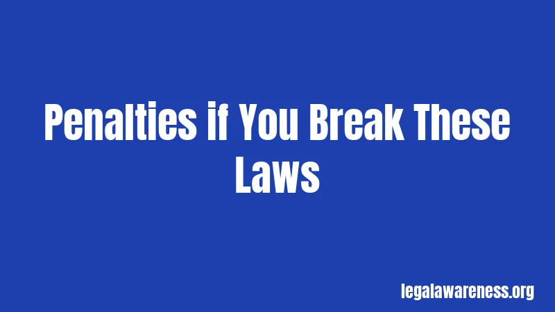 Penalties if You Break These Laws