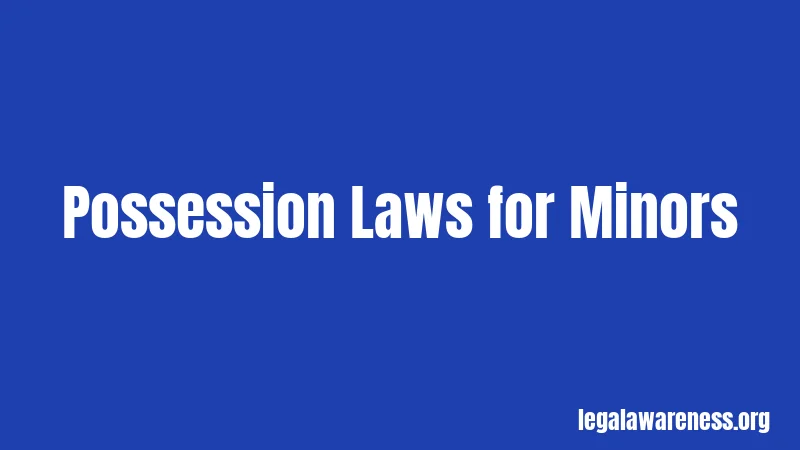 Possession Laws for Minors