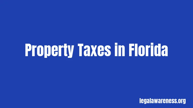 Property Taxes in Florida