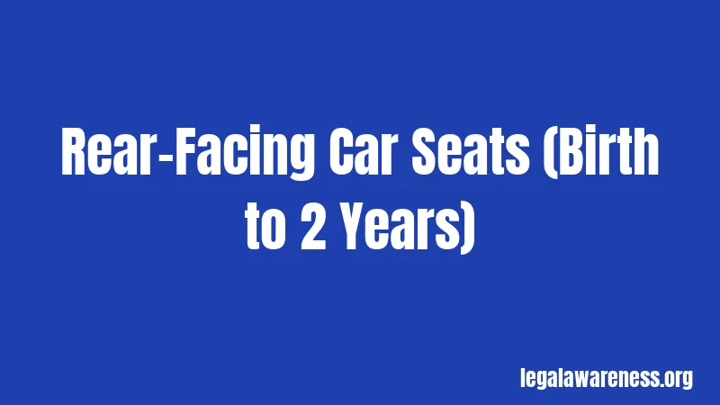 Rear-Facing Car Seats (Birth to 2 Years)