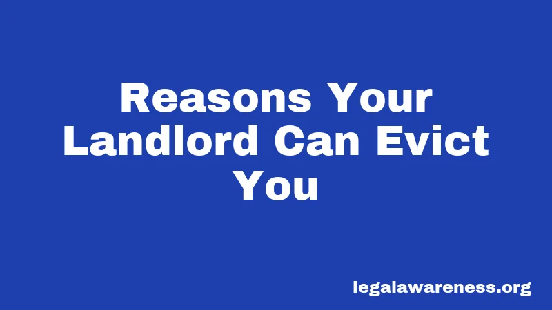 Reasons Your Landlord Can Evict You