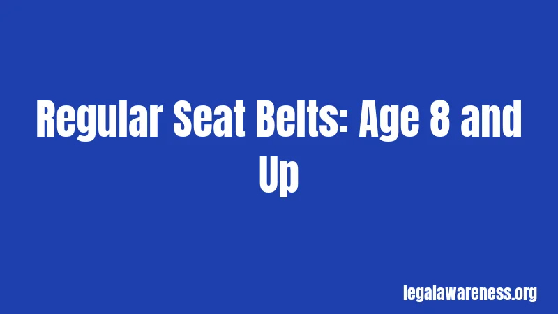Regular Seat Belts: Age 8 and Up