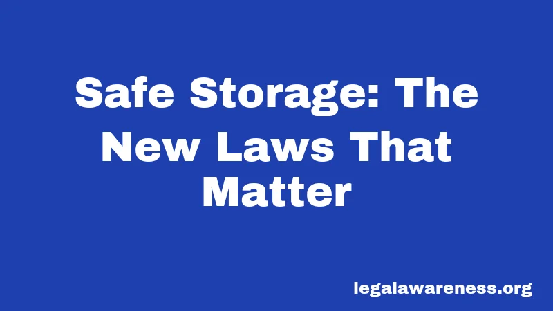 Safe Storage: The New Laws That Matter