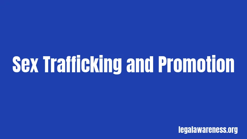 Sex Trafficking and Promotion
