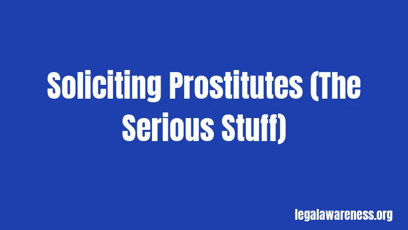 Soliciting Prostitutes (The Serious Stuff)